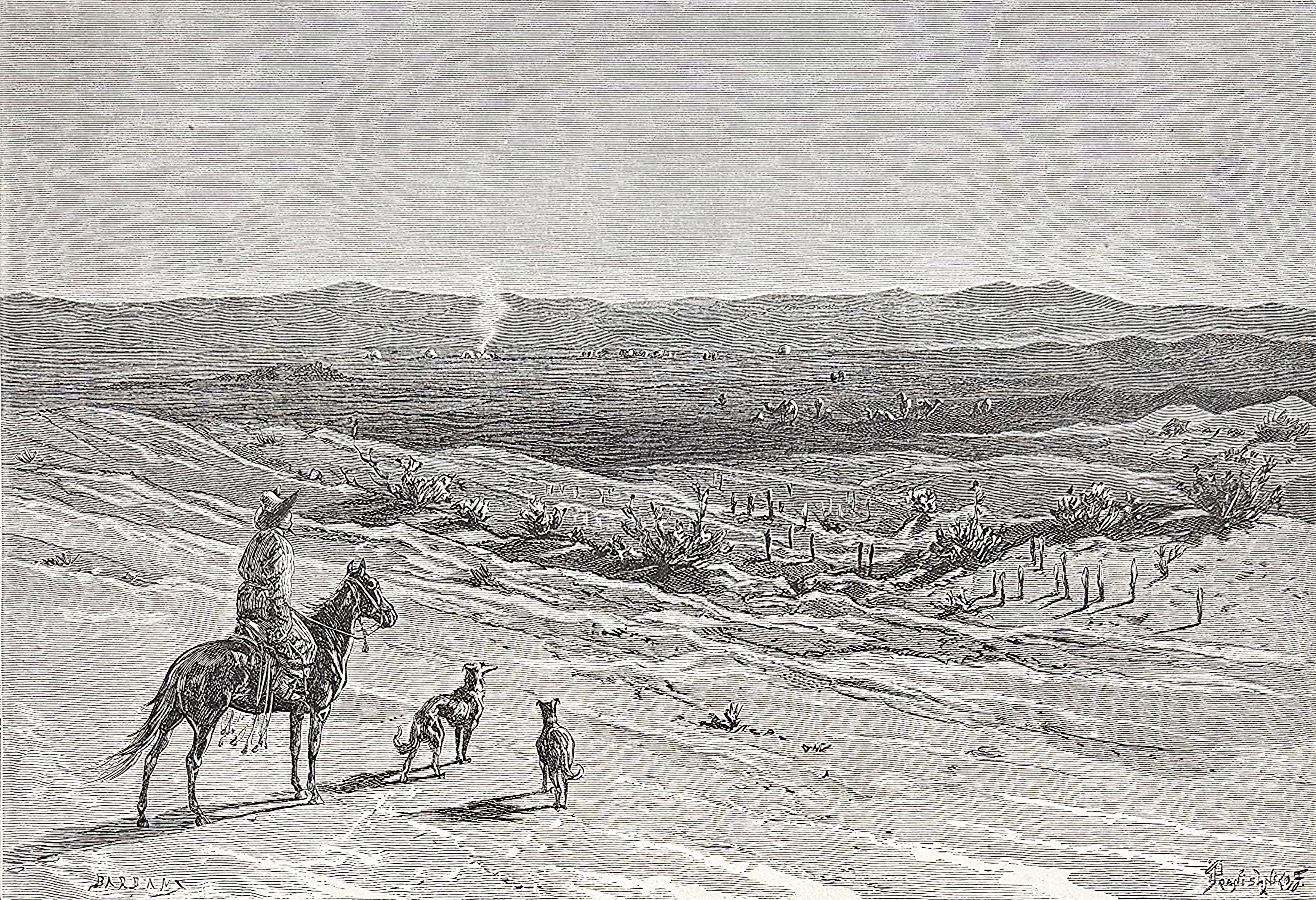 ЛОТ 35 В пустыне Кызылкум