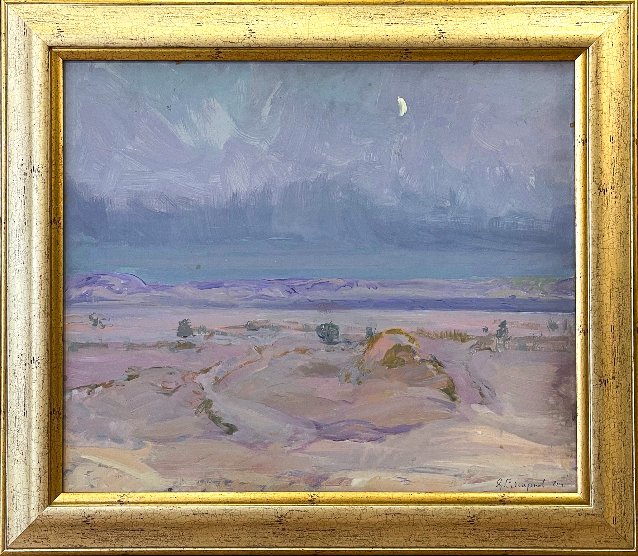 ЛОТ 37  Сумерки. Аральская пустыня